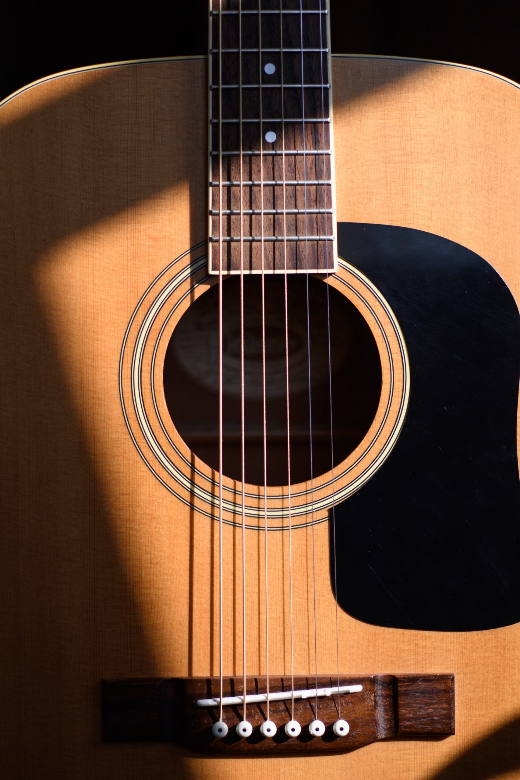 acoustic guitar